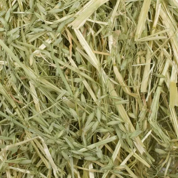 Blue Mountain Hay High-Altitude Organic Oat Hay