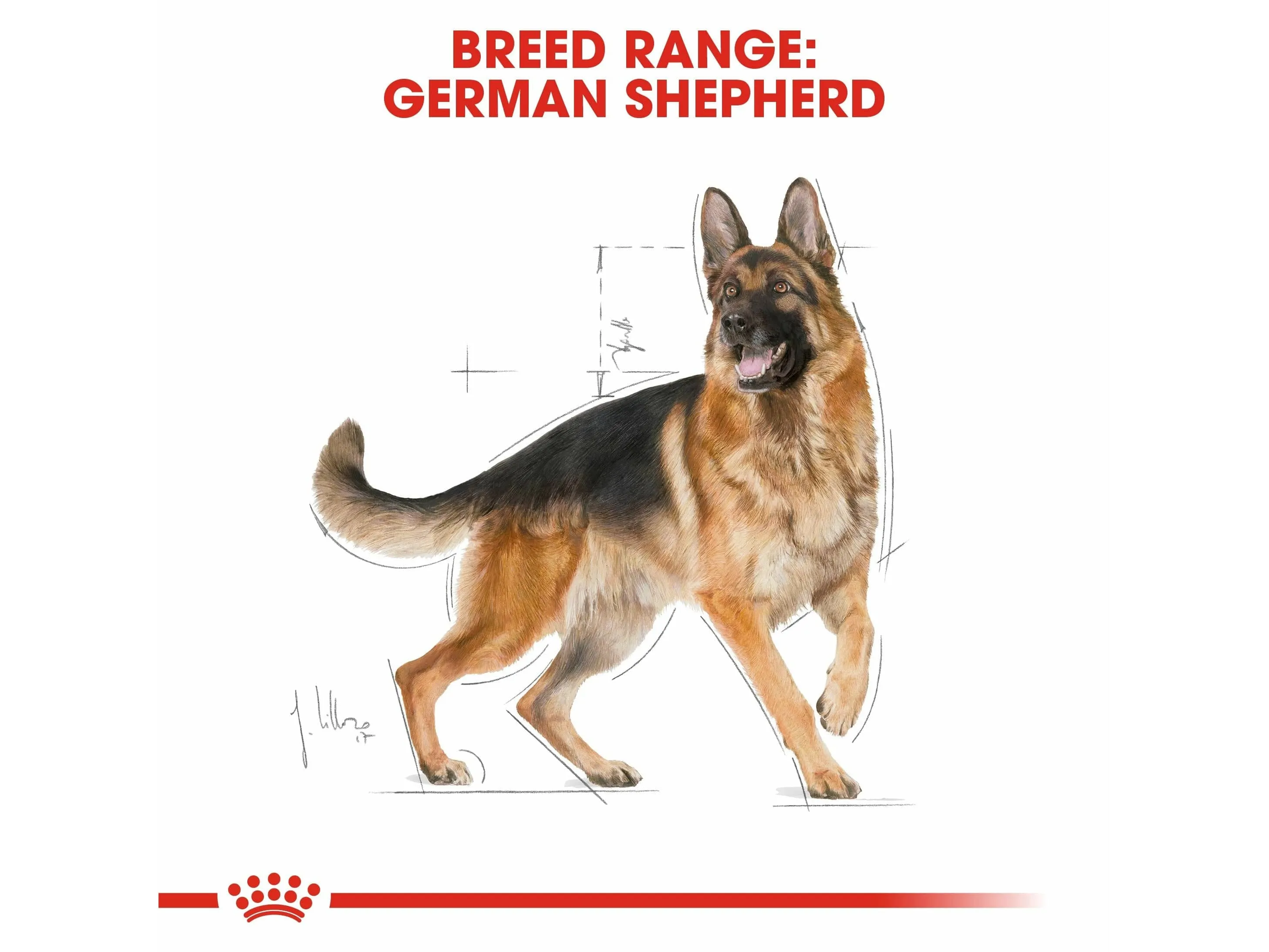 Breed Health Nutrition German Shepherd Adult 11 KG