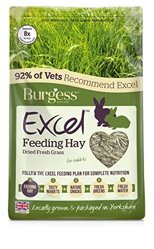 Burgess Excel Feeding Hay 1kg