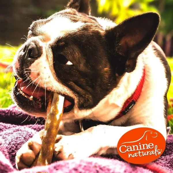 Canine Naturals Hide Free Peanut Butter Sticks Dog Chew