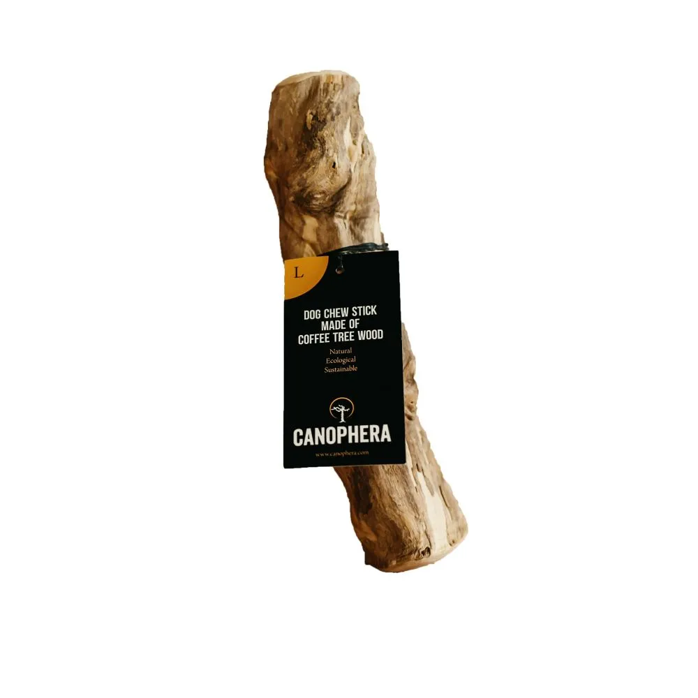 Canophera Large Coffee Tree Wood Dog Chew