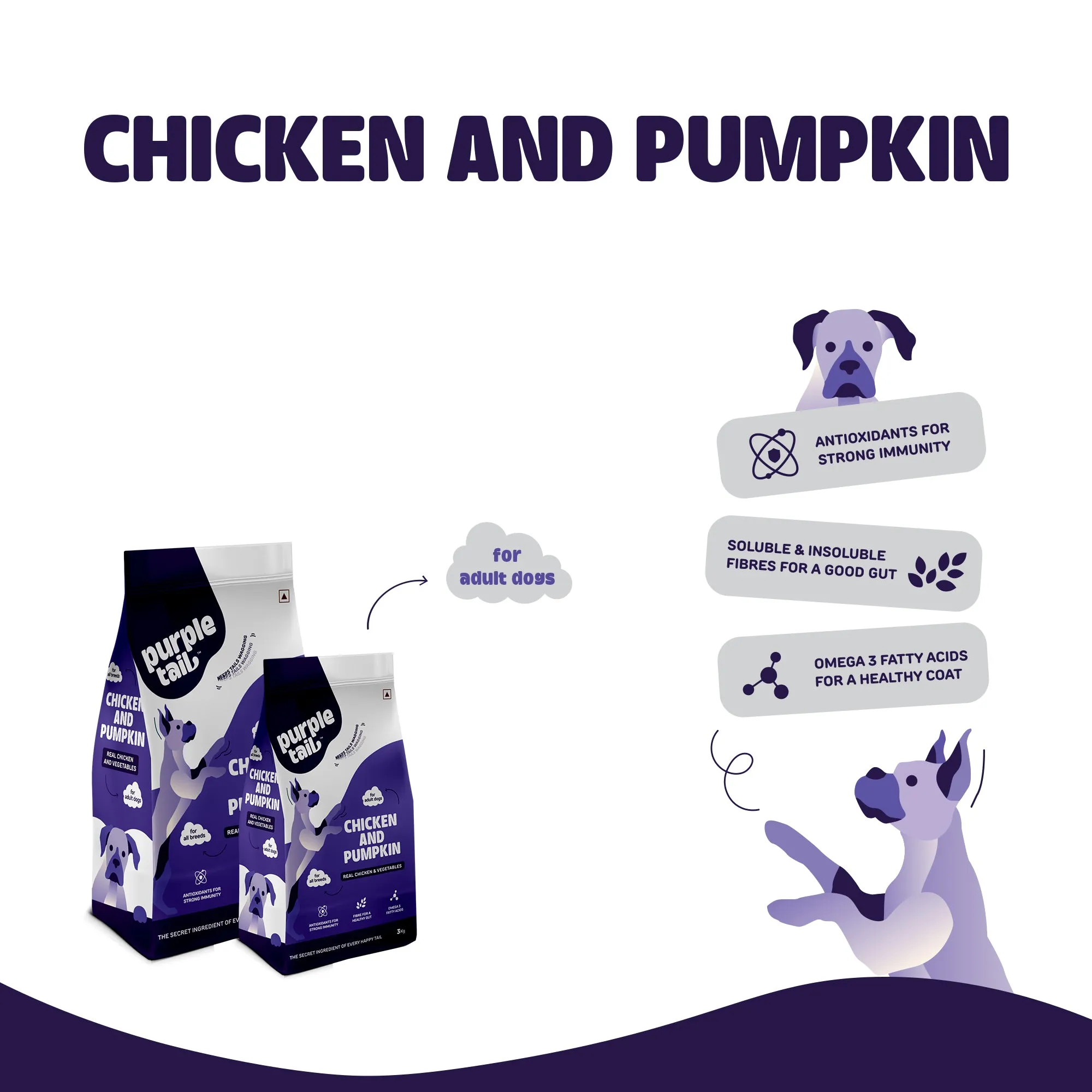 DRY FOOD CHICKEN AND PUMPKIN FOR ADULT DOG