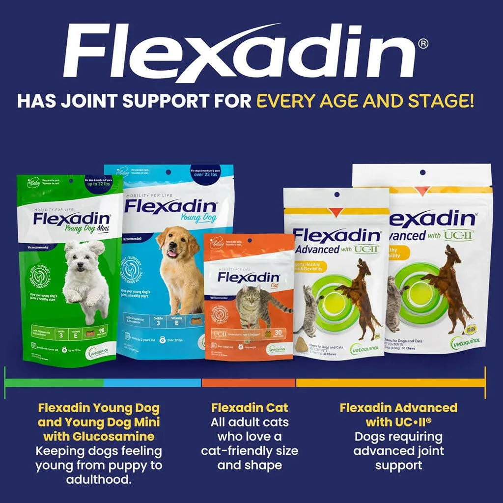 Flexadin Young Dog Joint Supplement, 90 Tasty Chews