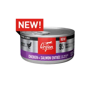 ORIJEN Chicken & Salmon Recipe Canned Kitten Food