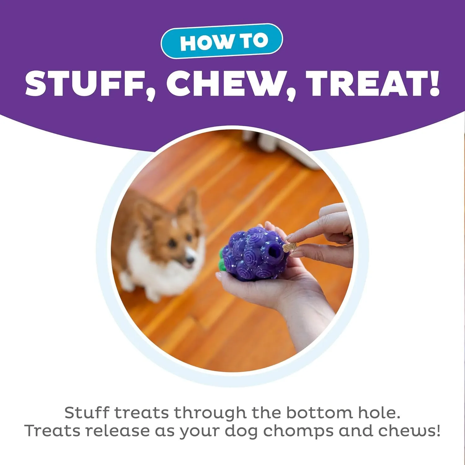 Outward Hound Grape Dental Chew Toy