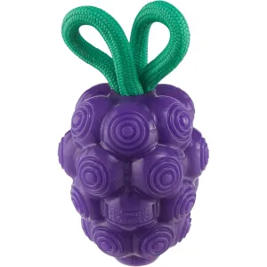 Outward Hound Grape Dental Chew Toy