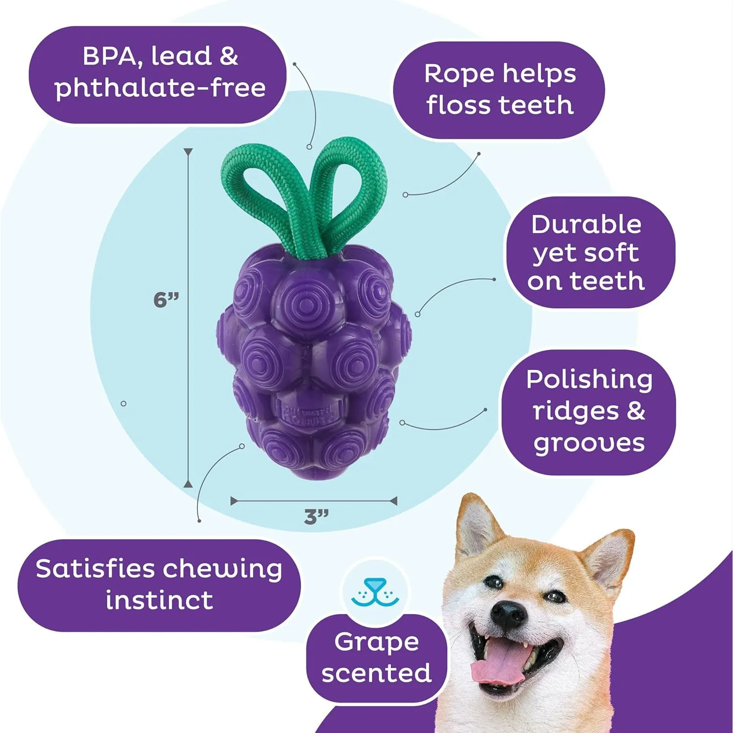 Outward Hound Grape Dental Chew Toy