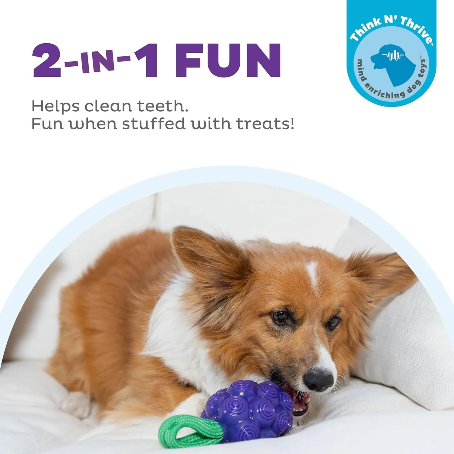 Outward Hound Grape Dental Chew Toy