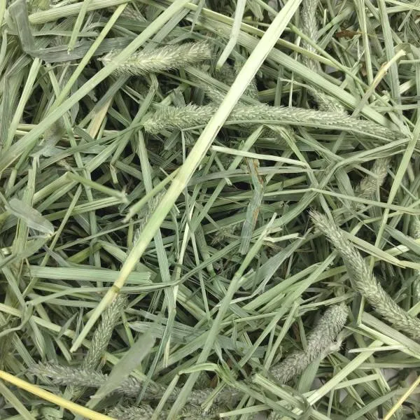 Oxbow Western Timothy Hay 425g