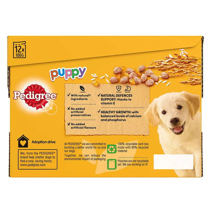 Pedigree | Puppy Wet Dog Food Pouches | Meat Selection In Jelly - 12 x 100g