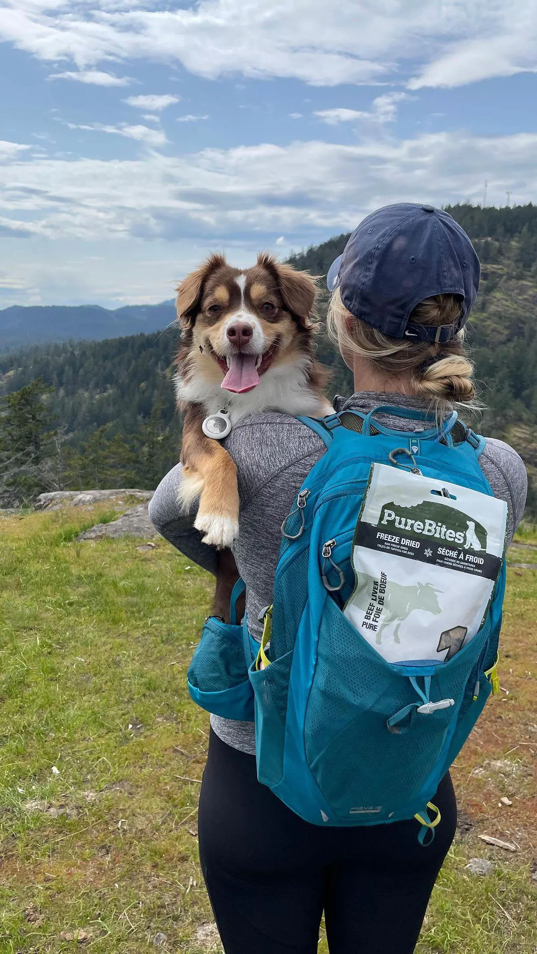 PureBites Freeze Dried Beef Liver Dog Treats