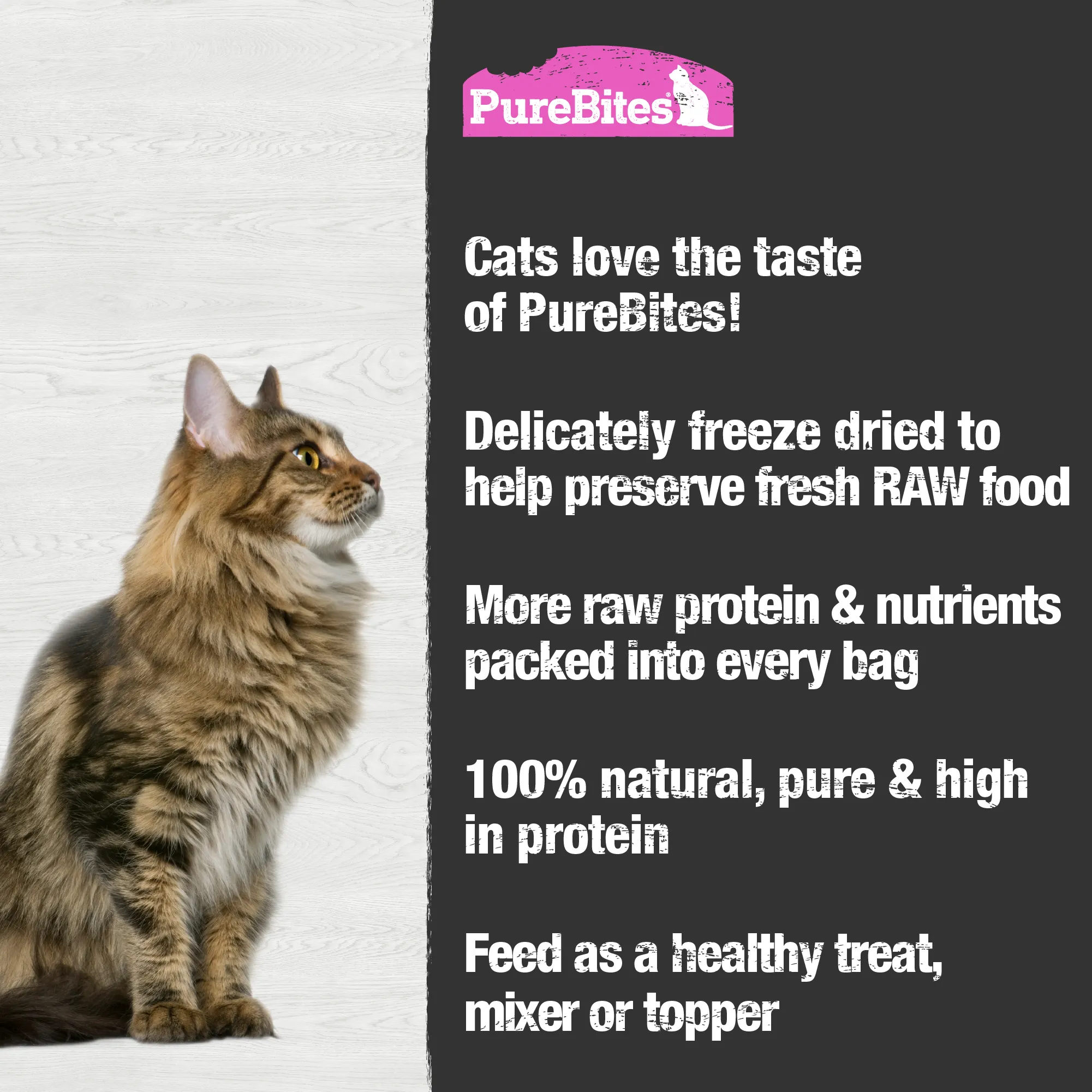 PureBites Freeze Dried Salmon Cat Treats