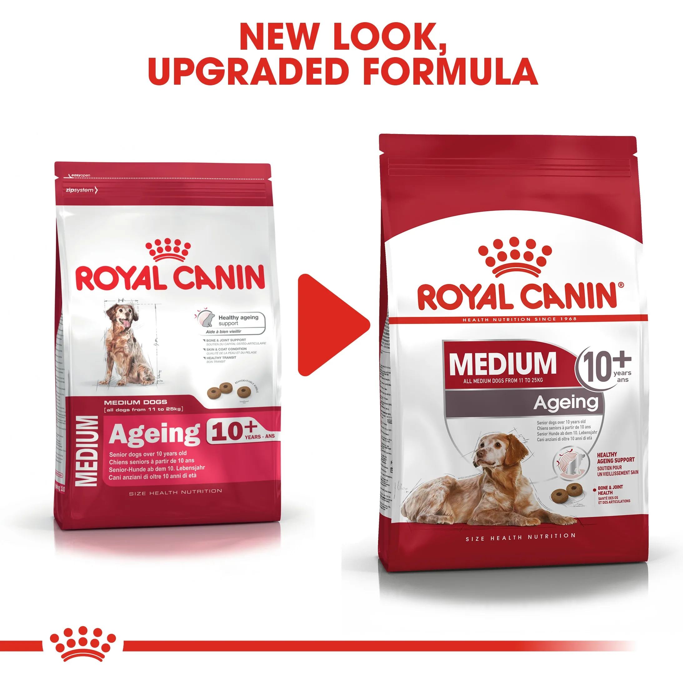 Royal Canin Medium Ageing 10  (3 KG)- Dry food for medium dogs from 11 to 25 KG. over 10 years