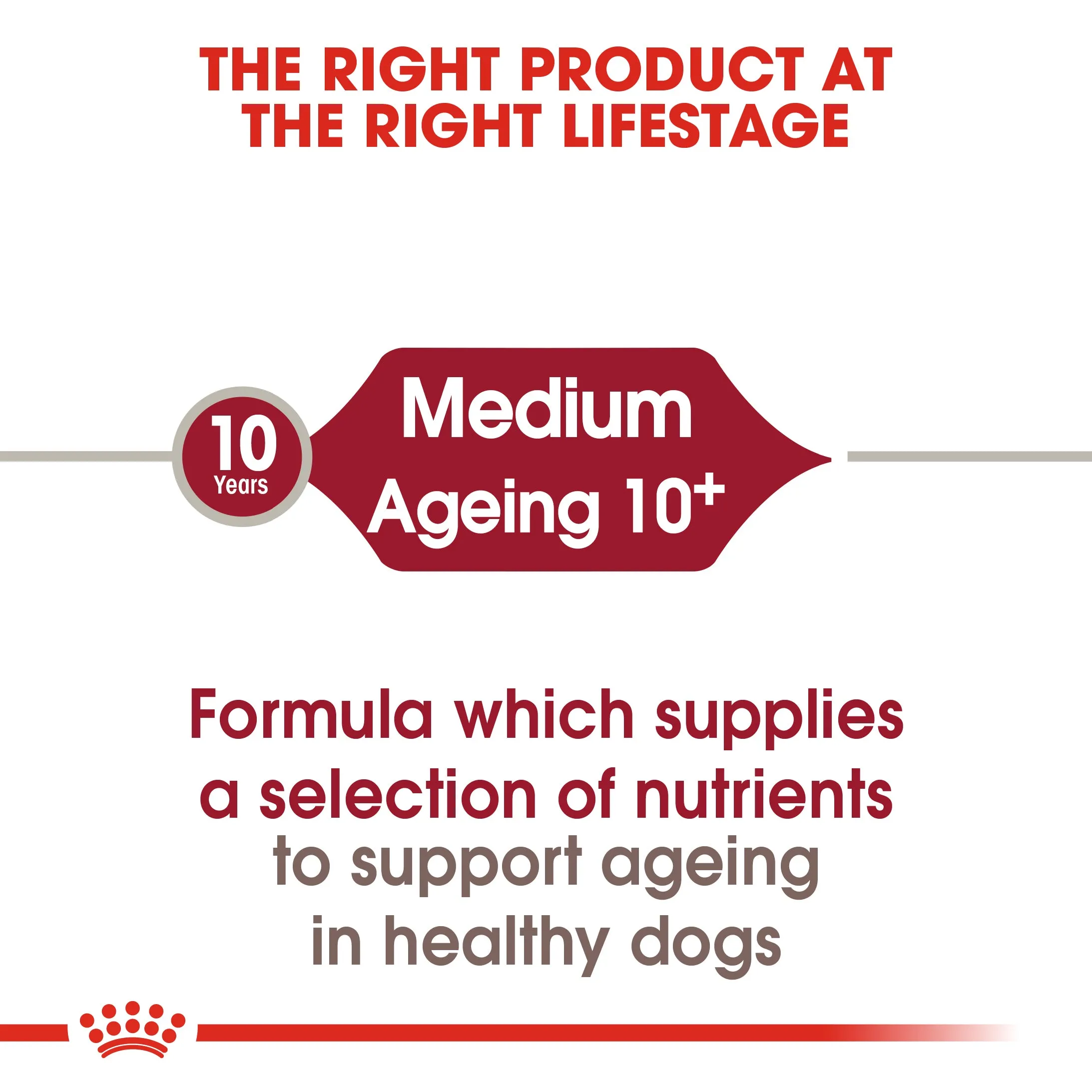 Royal Canin Medium Ageing 10  (3 KG)- Dry food for medium dogs from 11 to 25 KG. over 10 years