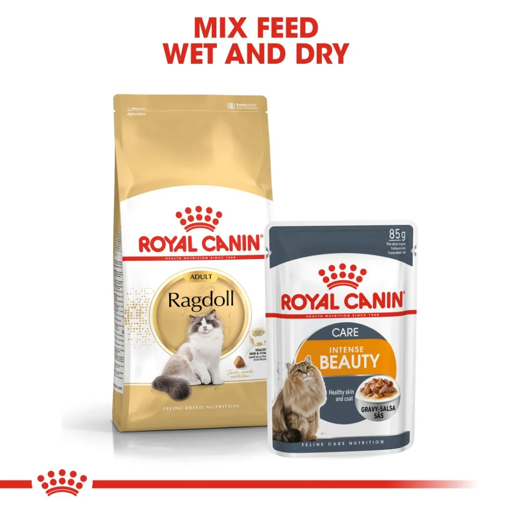 Royal Canin Ragdoll