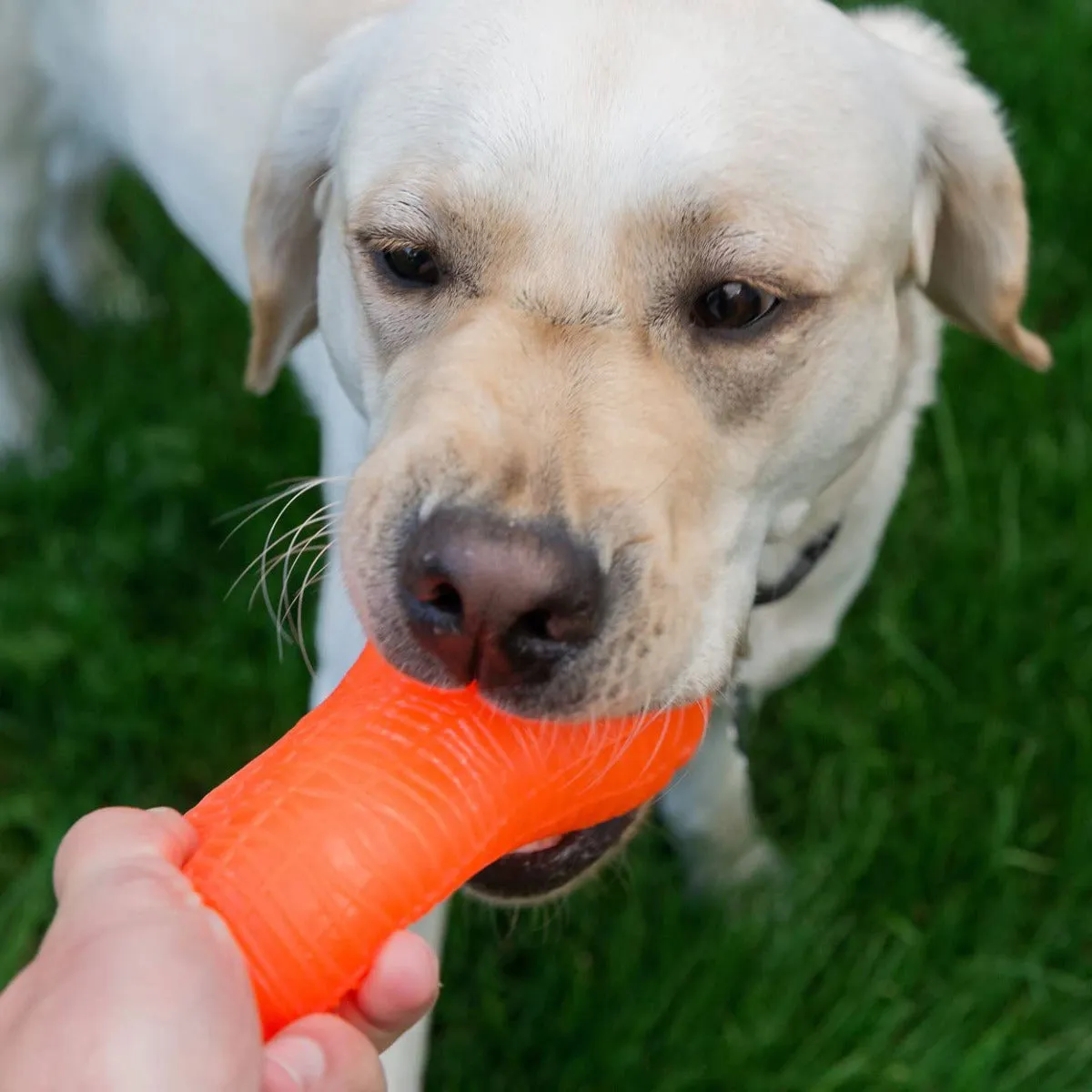 Ruff Dawg Crunch Peanut