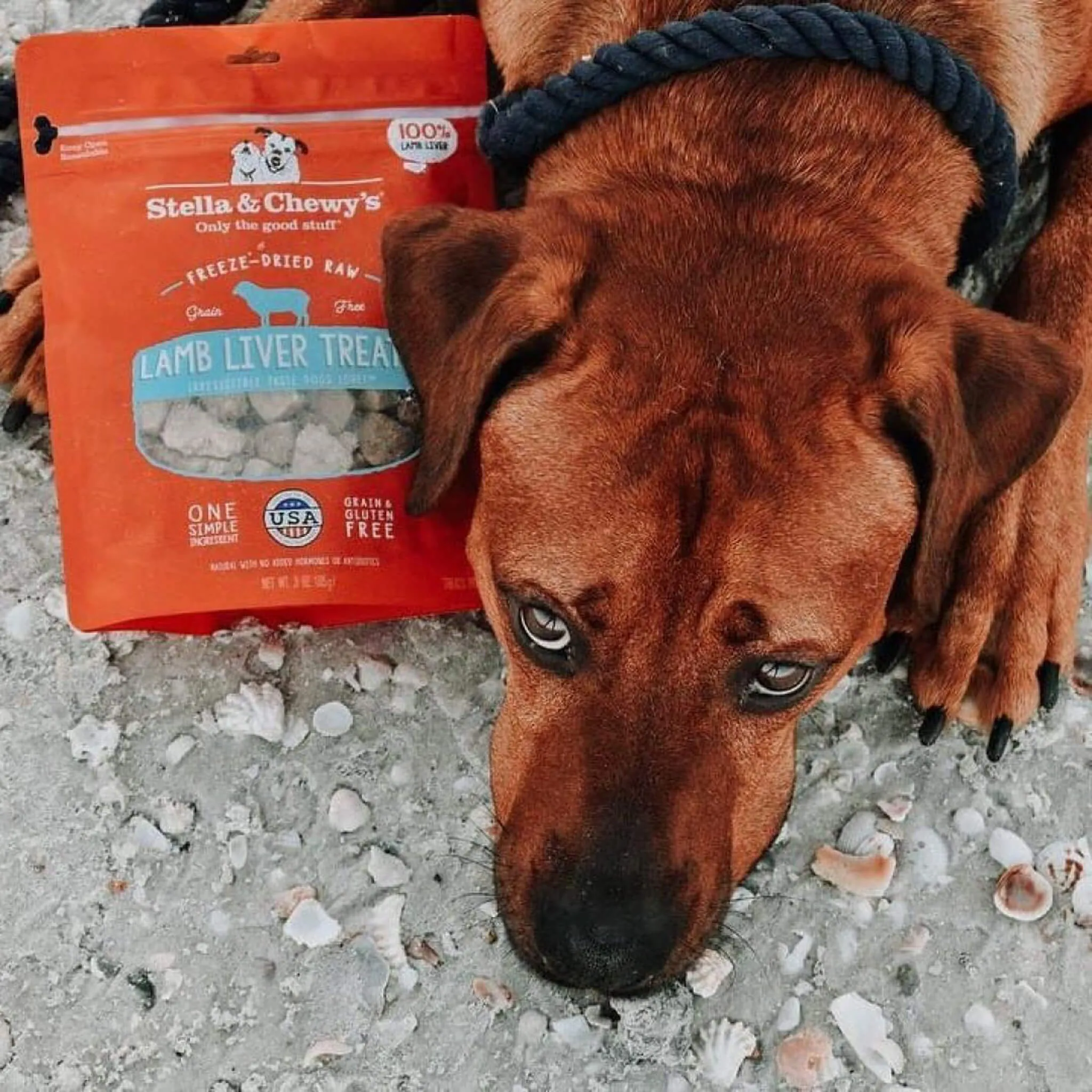 Stella & Chewy's Freeze-Dried Raw Single Ingredient Treats