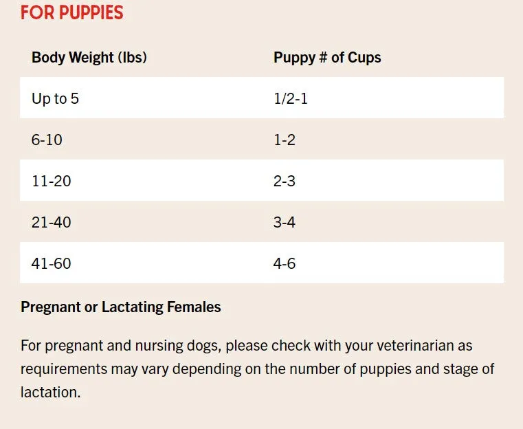 Stella & Chewy's Raw Coated Chicken Wholesome Grains With Pumpkin & Quinoa, Dry Dog Food