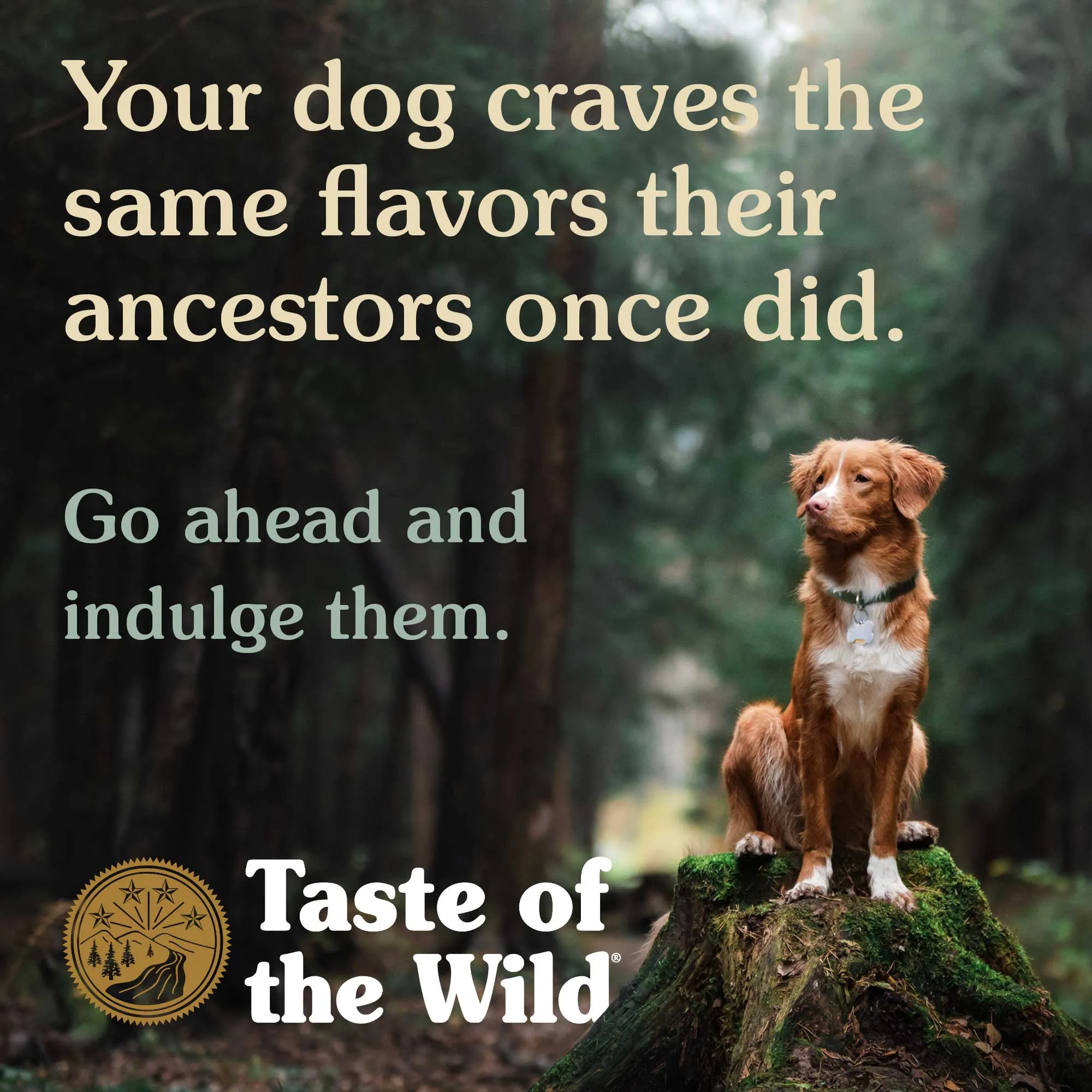 Taste Of The Wild Ancient Wetlands Dog Food