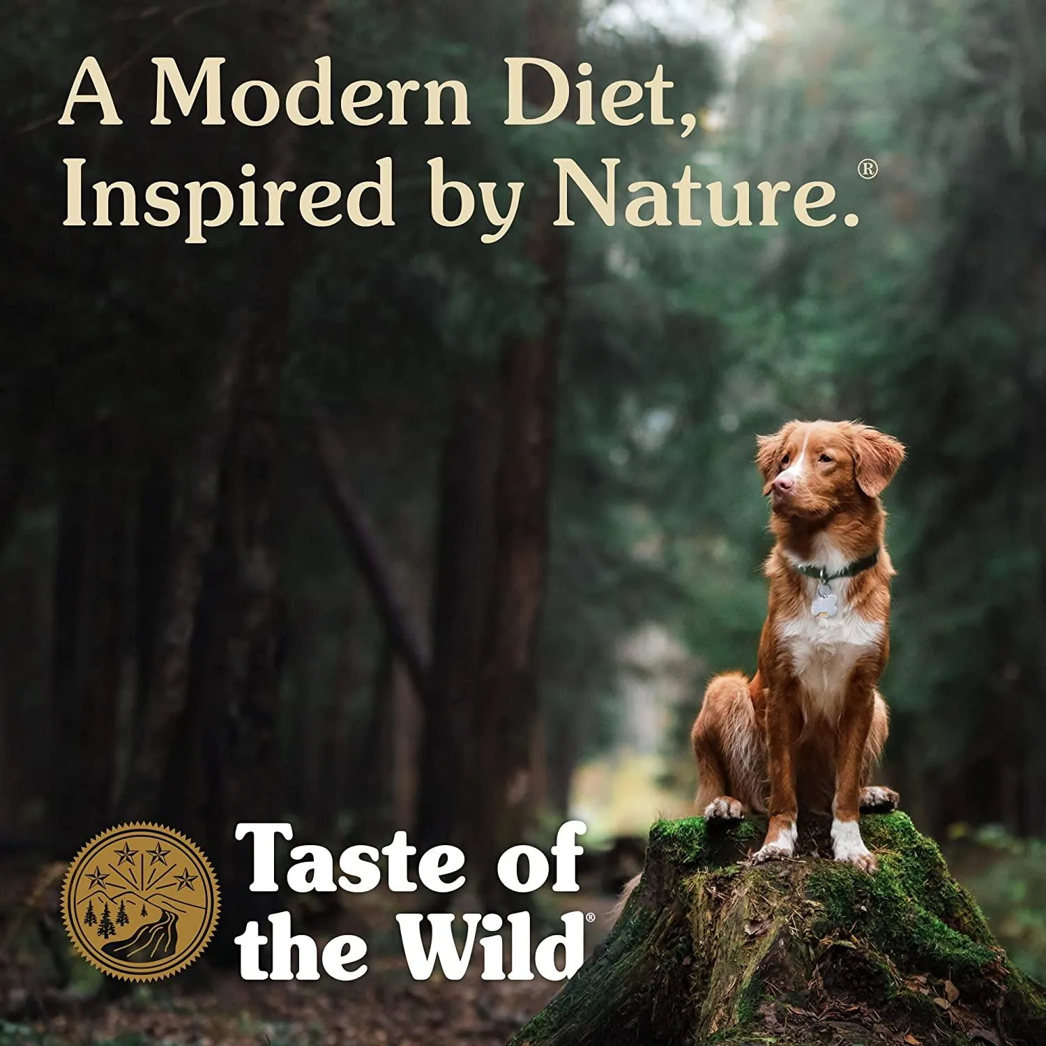 Taste Of The Wild Pine Forest Venison & Legumes