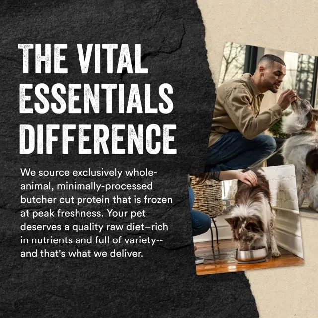 Vital Essentials Freeze-Dried Chicken Hearts Dog Treats